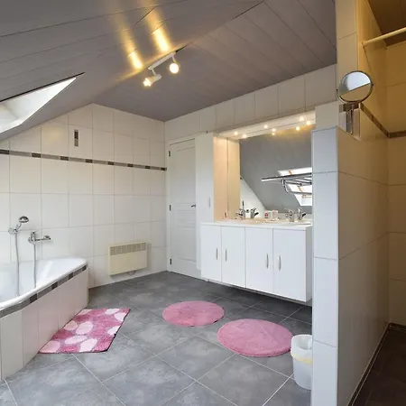 Luxurious In Ardennes With Pool * Wibrin